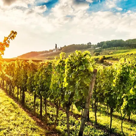 Zum Malerwinkel - Rüdesheim Apartamento *