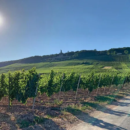 Apartamento Zum Malerwinkel - Rüdesheim Rüdesheim am Rhein