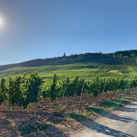 Lejlighed Zum Malerwinkel - Ruedesheim Rüdesheim am Rhein