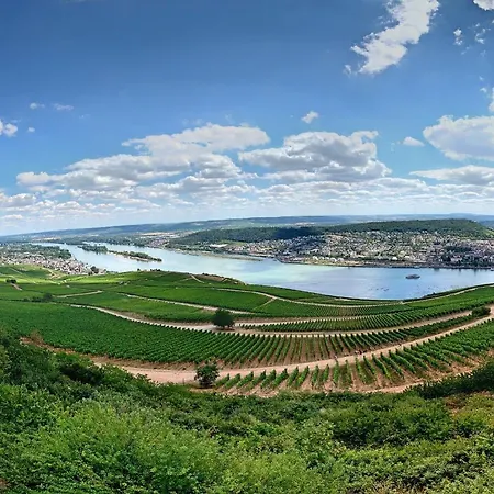 Zum Malerwinkel - Rüdesheim Apartamento *