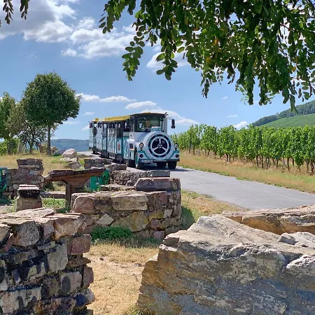 Zum Malerwinkel - Ruedesheim Apartmán