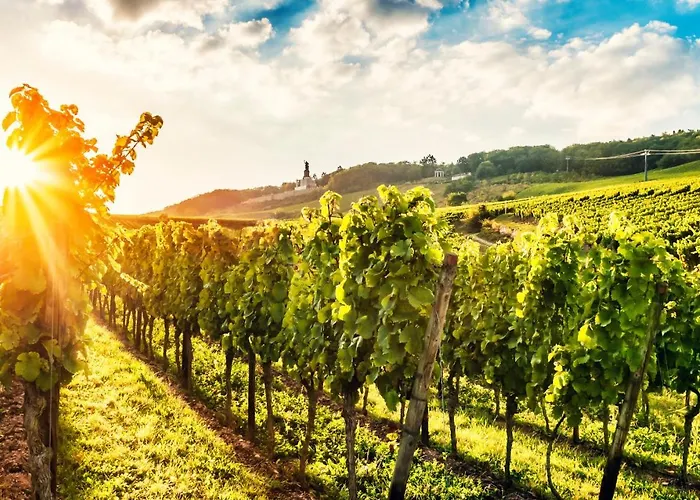 Zum Malerwinkel - Ruedesheim Апартаменти *