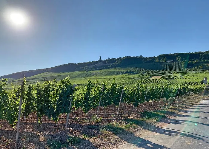 Апартаменти Zum Malerwinkel - Ruedesheim Рюдесгайм-ам-Райн